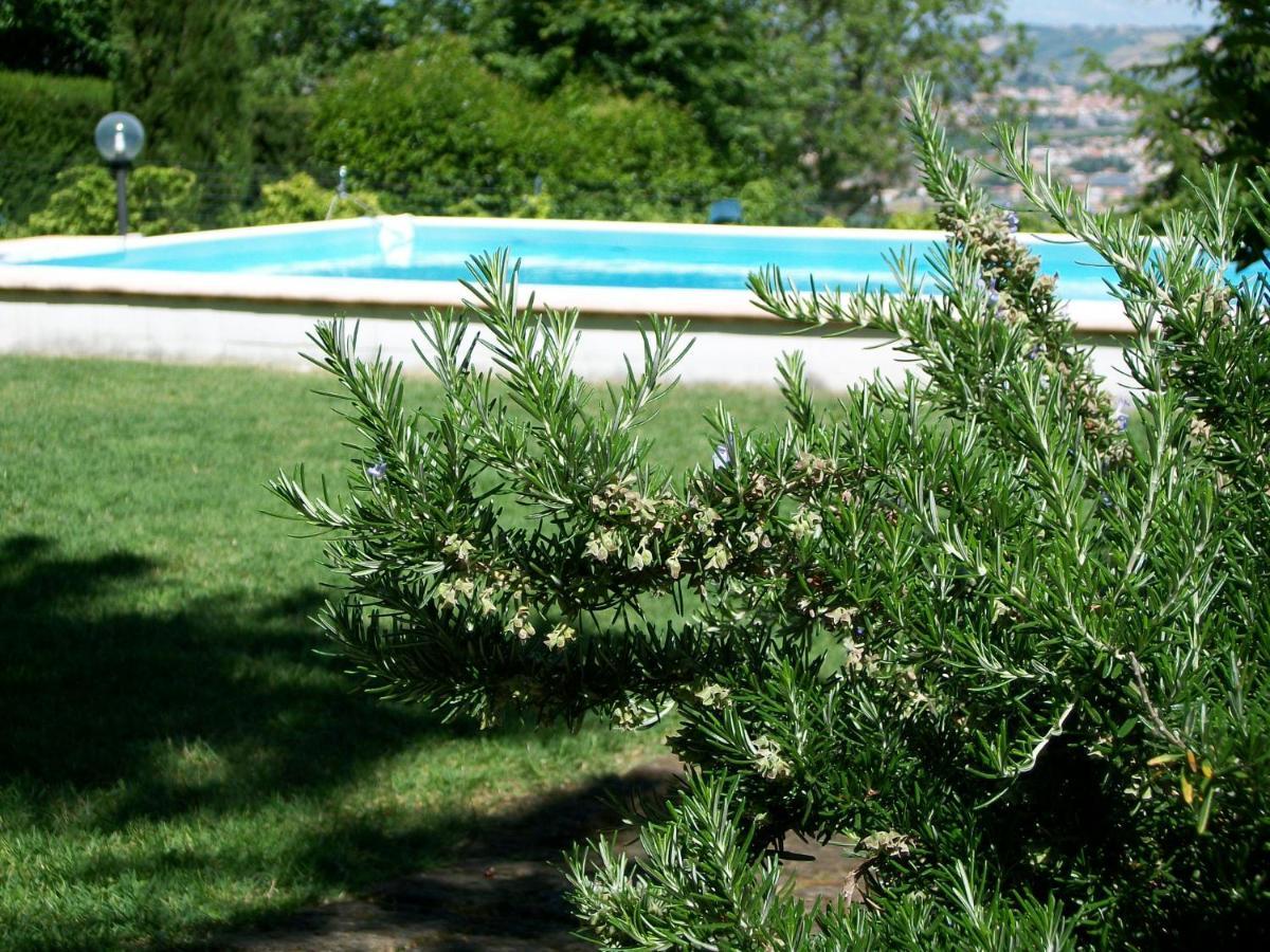 B&B Luna Blu Montesilvano Marina Kültér fotó